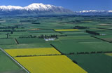 Canterbury Plains